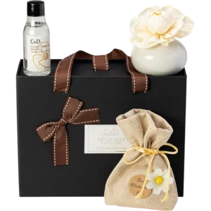 Luxury Diffuser Gift Set