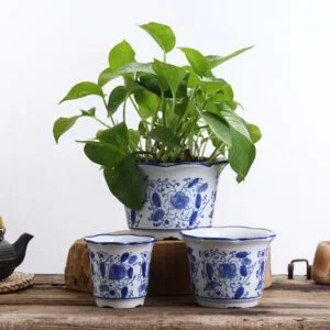 a set of 3 diffrent size white and blue planters witha wavey edges , can put artificial plants or flowers or a small size real plants.